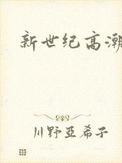 新世纪高潮战队