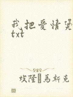 我把爱情煲成汤txt
