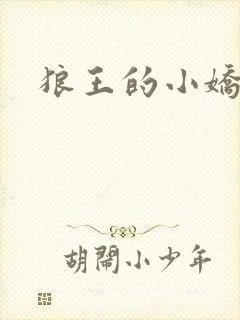 狼王的小娇妻