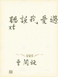 听说我爱过你txt