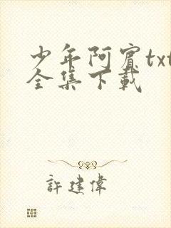 少年阿宾txt全集下载