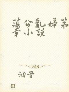 荡公乱妇第51章小说