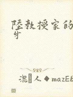 陆教授家的小月牙