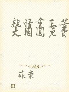 亲情会王芳高敏大团圆免费阅读