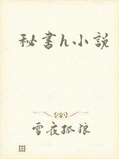 秘书h小说