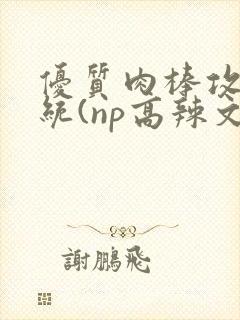 优质肉棒攻略系统(np高辣文)