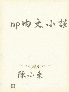 np肉文小说