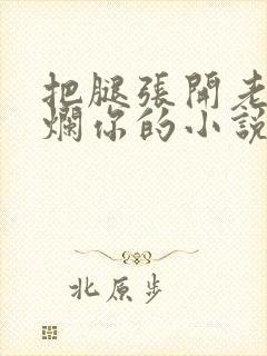 把腿张开老子臊烂你的小说