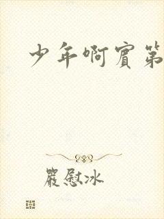 少年啊宾第二部