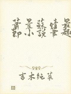 萧晨苏晴最新章节小说笔趣阁