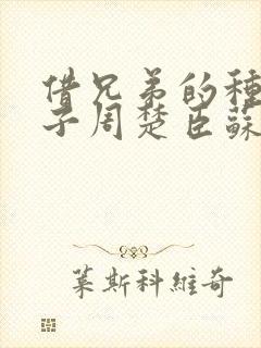 借兄弟的种生孩子周楚臣苏糖