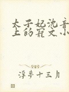 太子妃沈音和皇上的宠文小说