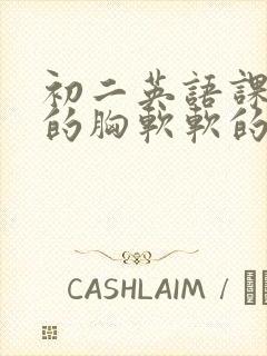 初二英语课代表的胸软软的