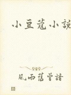 小豆蔻小说
