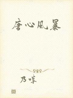 唐心风暴