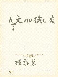 h文np挨c爽了