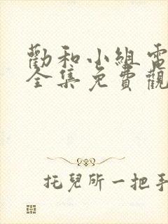 劝和小组电视剧全集免费观看