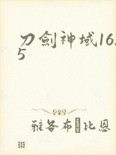 刀剑神域16.5