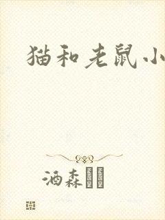 猫和老鼠小说