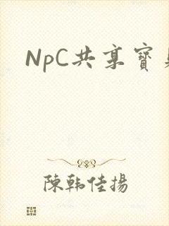 NpC共享宝贝