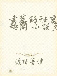 黄蓉的秘密 笔趣阁 小说免费阅读下载