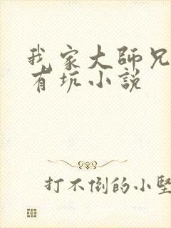 我家大师兄脑子有坑小说