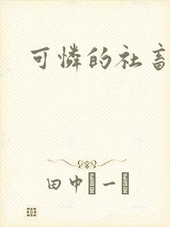 可怜的社畜分手