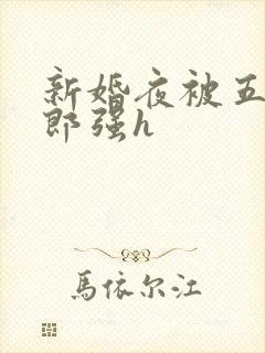 新婚夜被五个伴郎强h