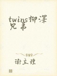 twins柳泽兄弟