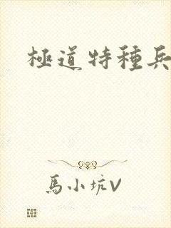 极道特种兵