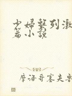 少妇系列激情短篇小说