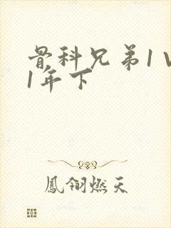 骨科兄弟1 V1年下