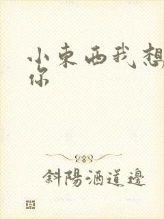 小东西我想弄坏你