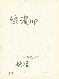 综漫np