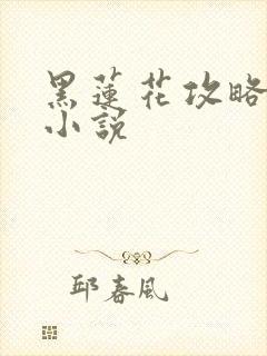 黑莲花攻略手册小说