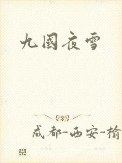 九国夜雪