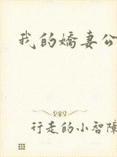 我的娇妻公务员