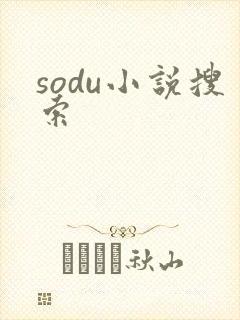 sodu小说搜索