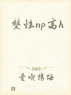 双性np高h