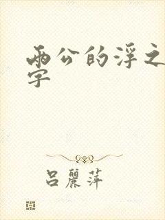 两公的浮之手中字