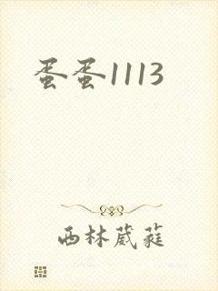 蛋蛋1113