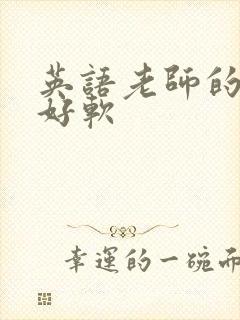 英语老师的兔子好软