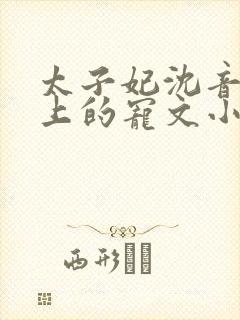 太子妃沈音和皇上的宠文小说