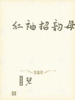 红袖招韵母攻略