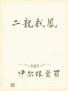 二龙戏凤