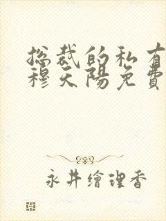 总裁的私有宝贝穆天阳免费