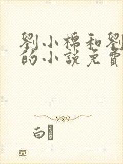 刘小棉和刘易文的小说免费阅读