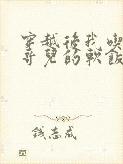 穿越后我吃到了哥儿的软饭炉山灰