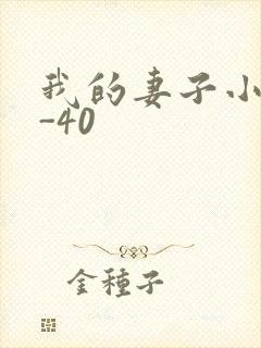 我的妻子小谨1-40