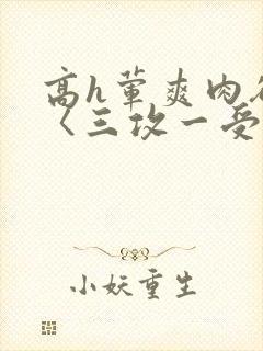 高h荤爽肉欲文〈三攻一受